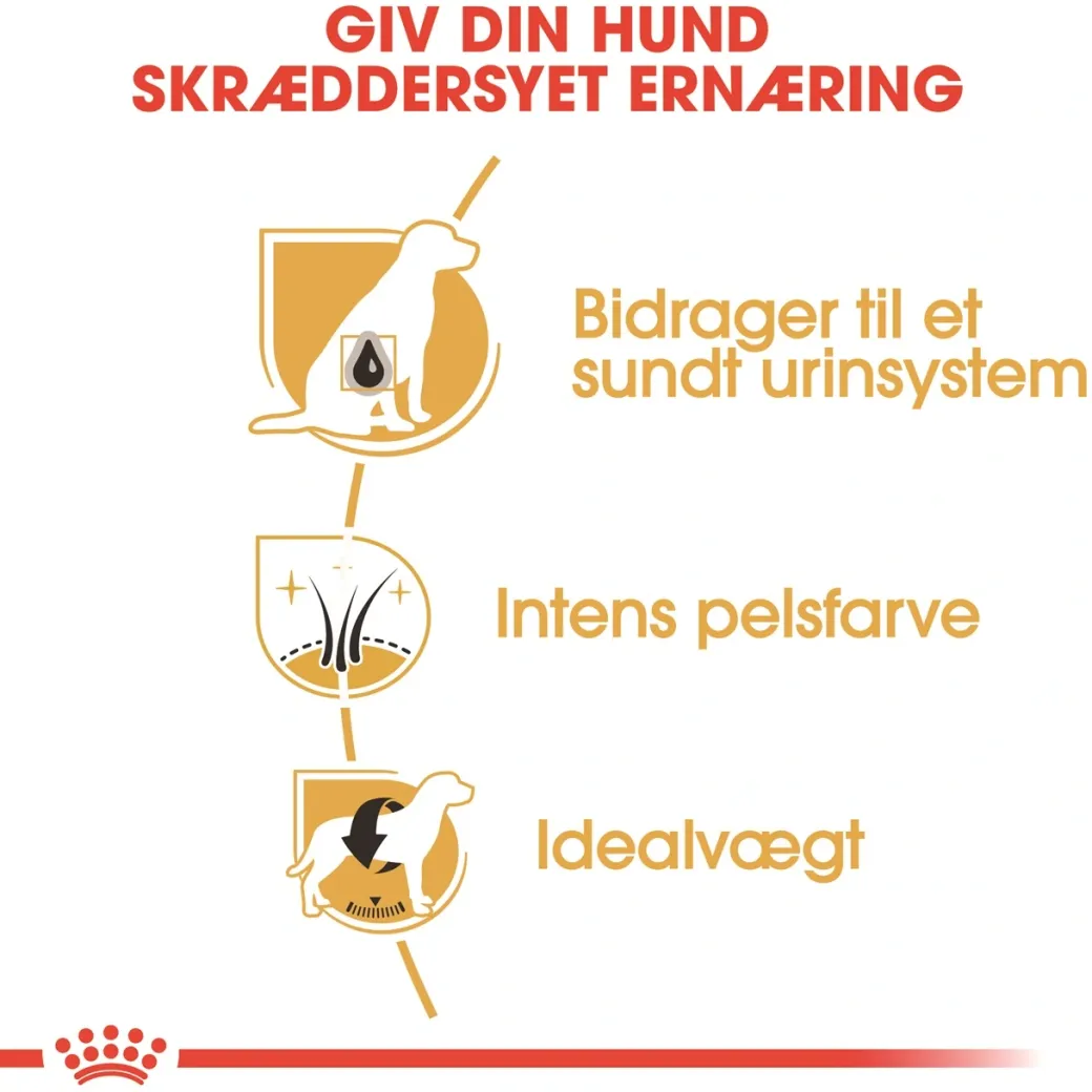 Royal Canin Miniature Schnauzer Adult 3 kg - tørfoder til små hunde