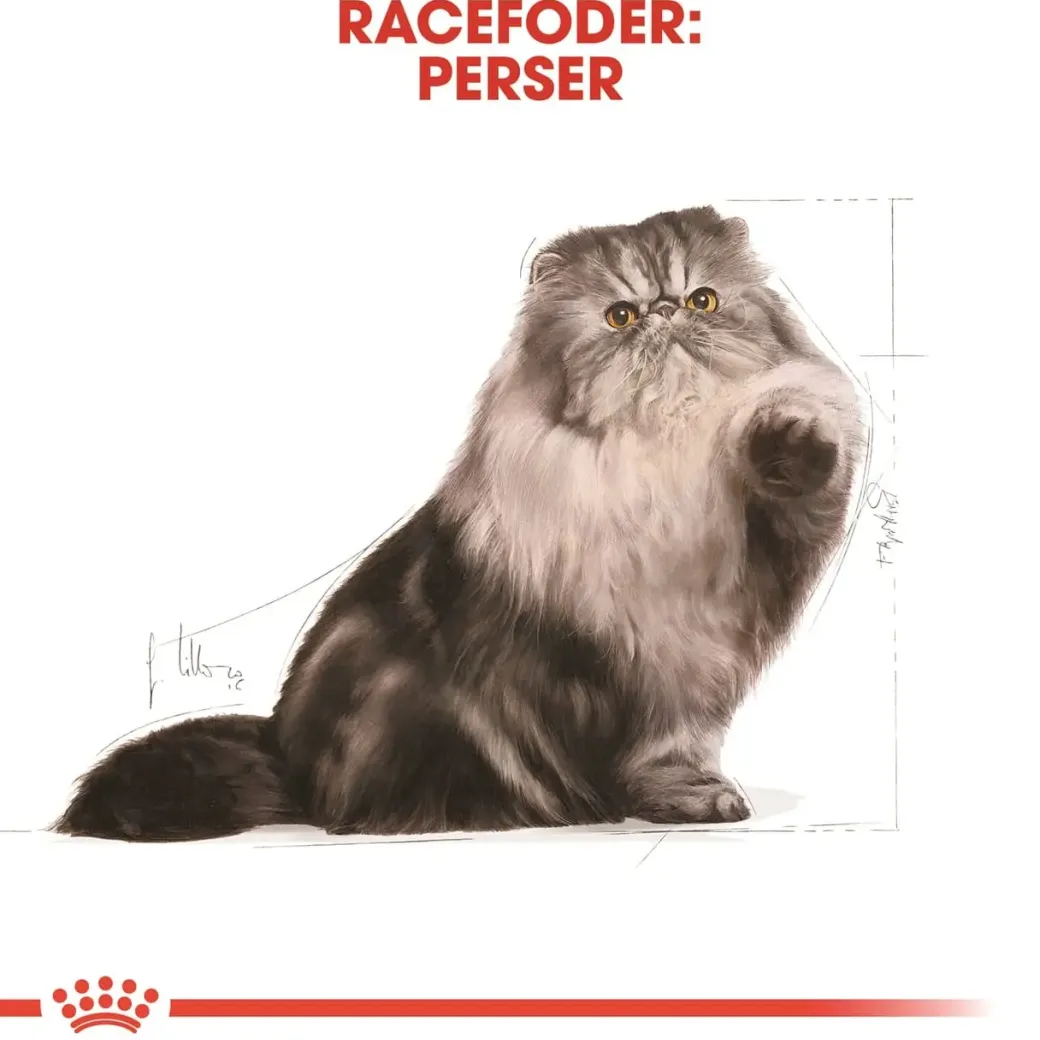 Royal Canin Persian 4 kg