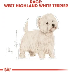 Royal Canin West Highland White Terrier Adult 1,5 kg - tørfoder til Westie