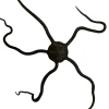Slangesøstjerne Ophioderma rubicundum