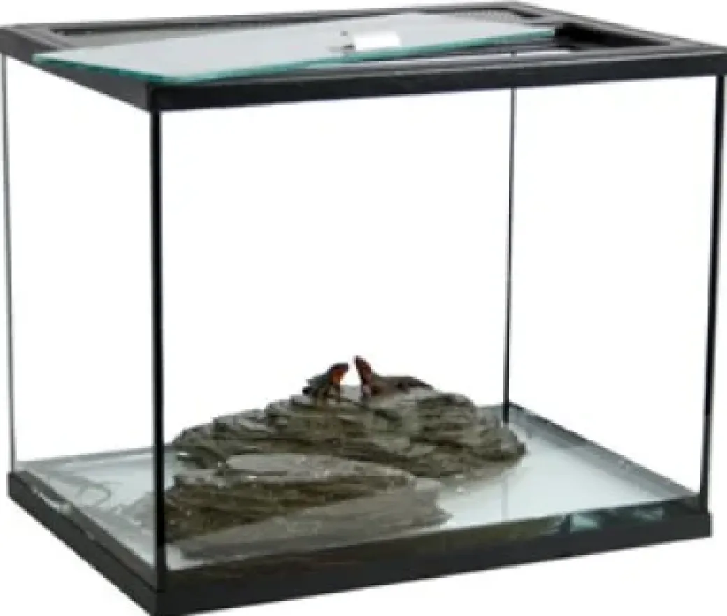 Terrarium TOPP 39 liter 40x28x35 cm