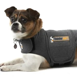 Thundershirt Large