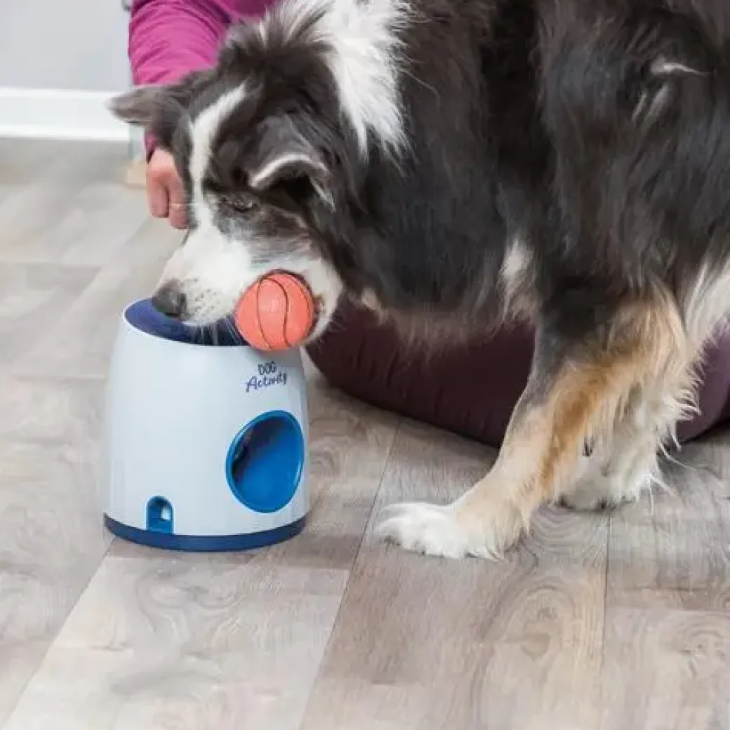 Trixie Hunde aktivitets spil Ball & Treat - sjovt spil til hunde