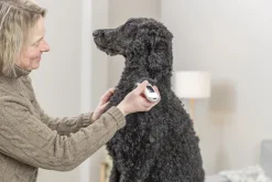 Trixie hunde klippemaskine til batteri TR1600