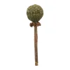 Trixie Matatabi Lolly