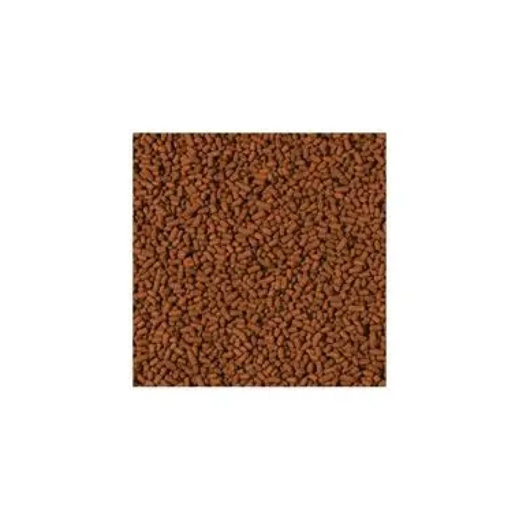 Tropical Shrimp Sticks 100 ml