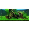 Tropica Utricularia graminifolia 1-2-GROW x 3