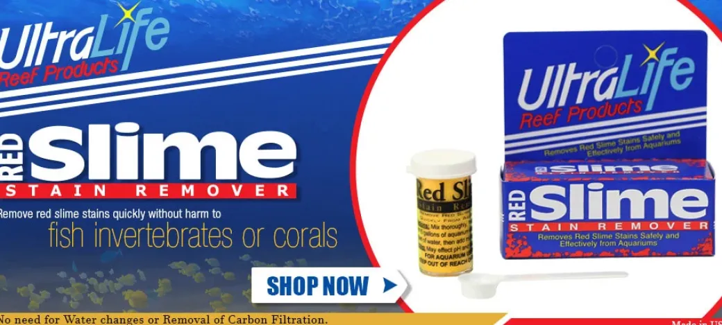 UltraLife Red Slime Remover af Cyanobakterier
